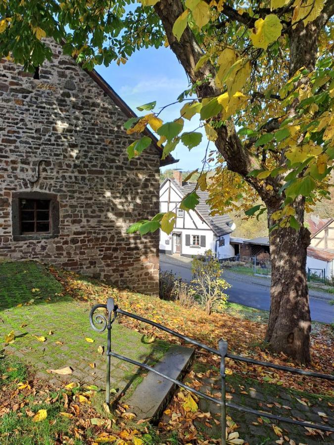 Landhaus Eifel Demerath المظهر الخارجي الصورة