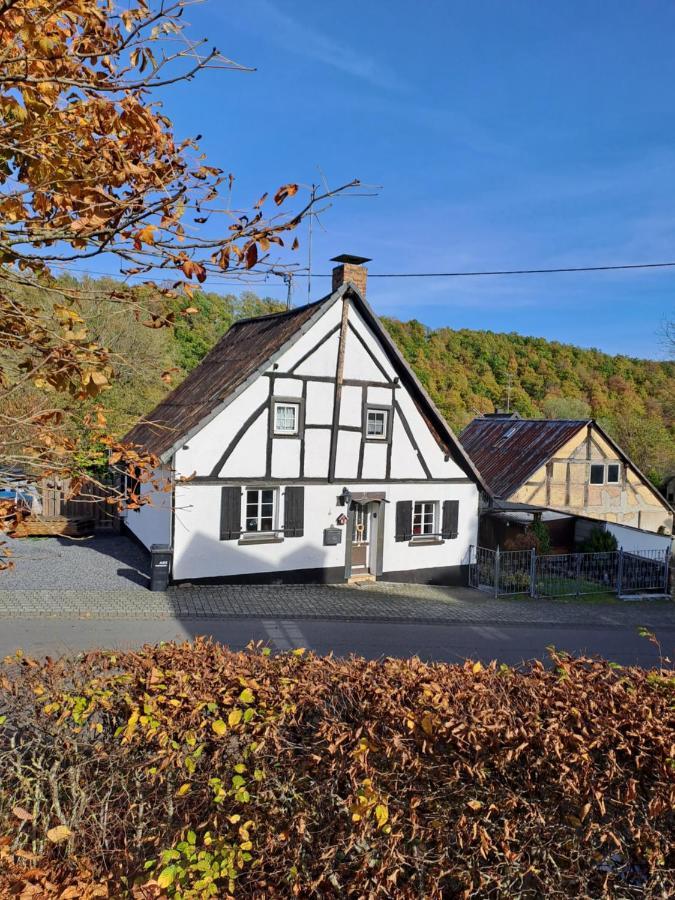 Landhaus Eifel Demerath المظهر الخارجي الصورة