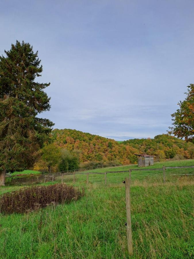 Landhaus Eifel Demerath المظهر الخارجي الصورة