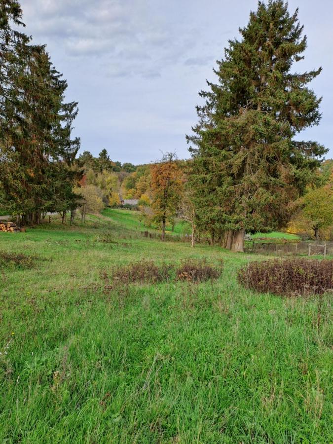 Landhaus Eifel Demerath المظهر الخارجي الصورة